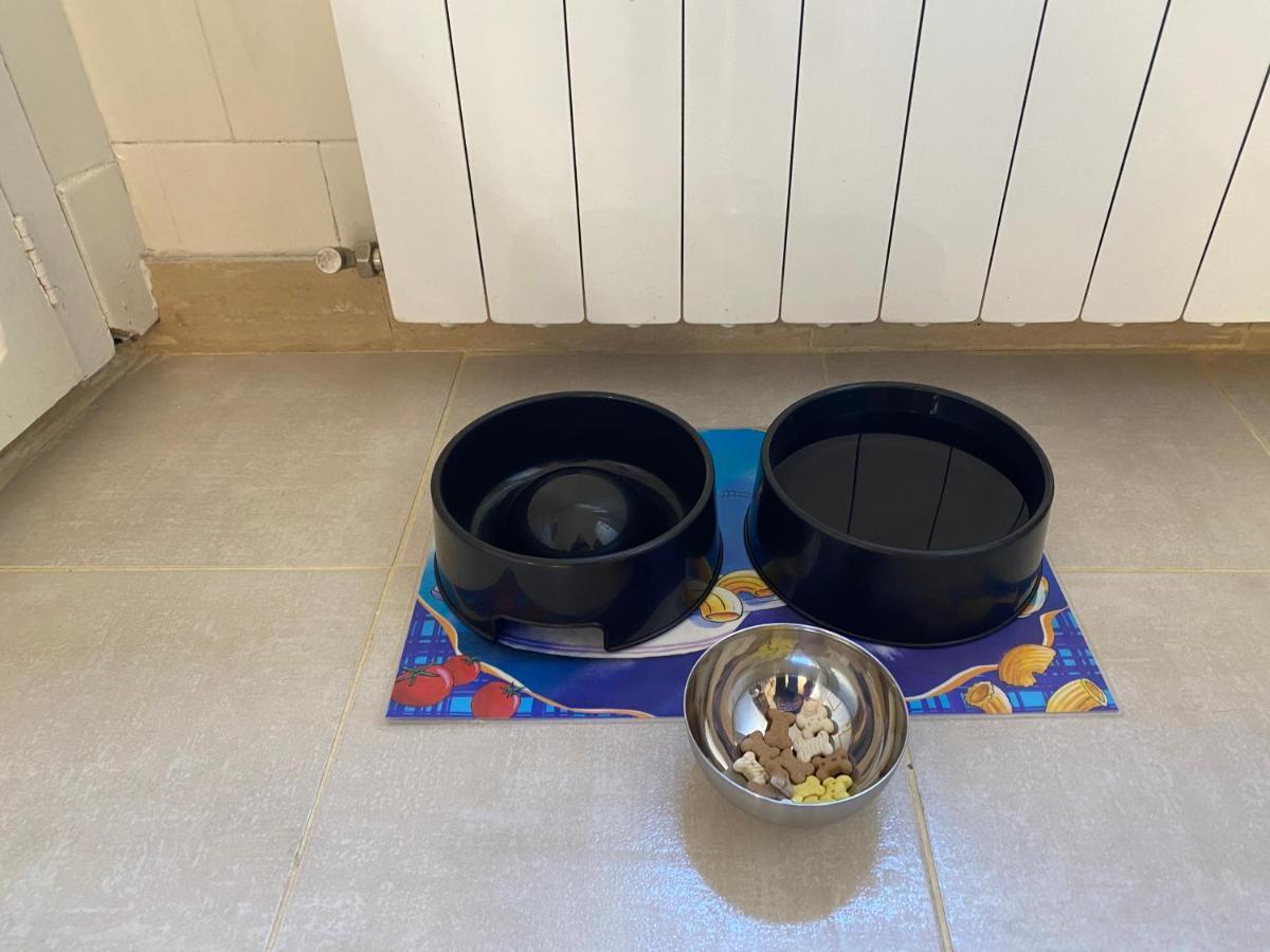 Chez Hélène, appartement charmant pour 4 personnes chiens bienvenus-perros bienvenidos Bourg-Madame Esterno foto