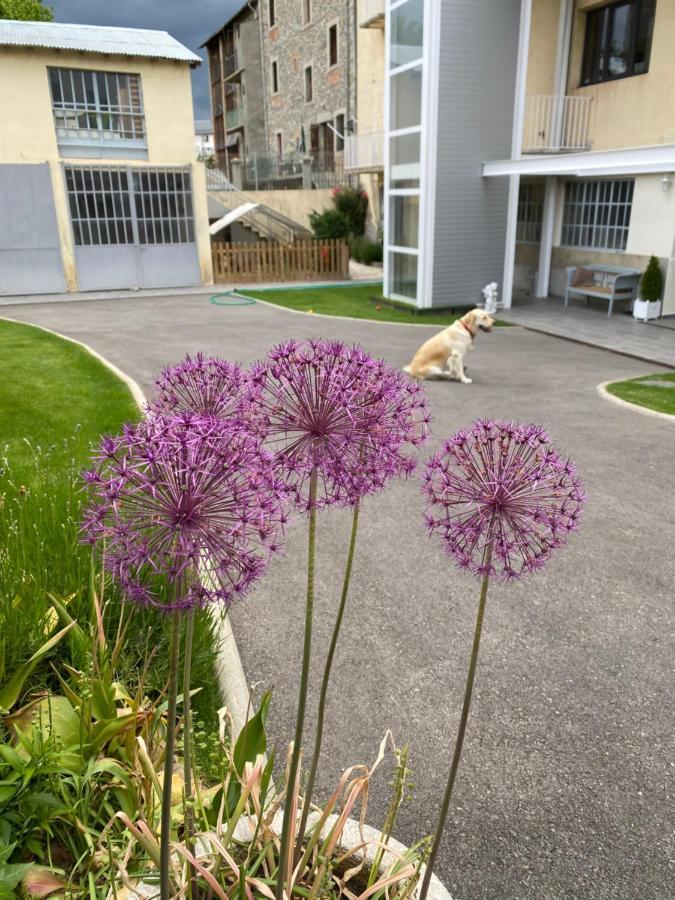 Chez Hélène, appartement charmant pour 4 personnes chiens bienvenus-perros bienvenidos Bourg-Madame Esterno foto