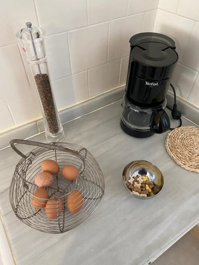 Chez Hélène, appartement charmant pour 4 personnes chiens bienvenus-perros bienvenidos Bourg-Madame Esterno foto